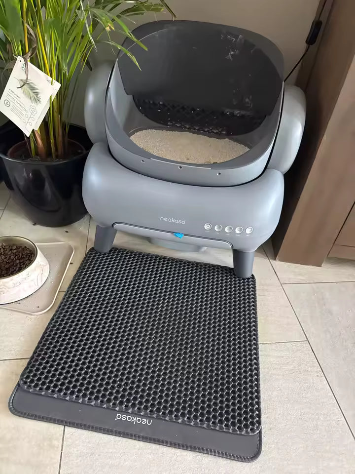 Idéal avec deux chats