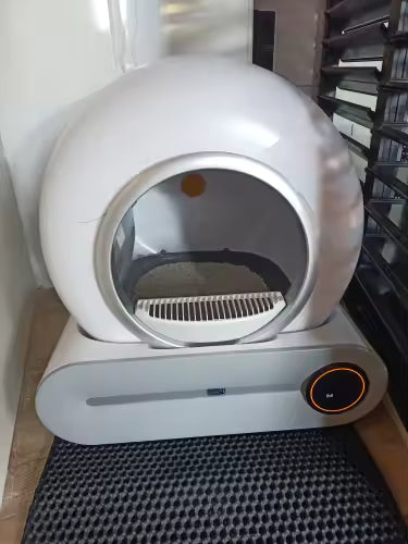 Mon chat l’a adoptée vite