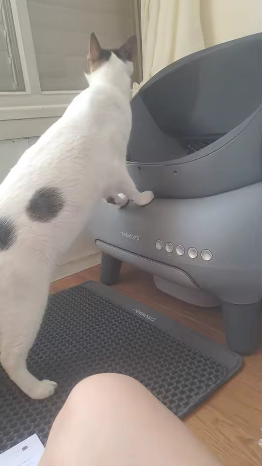 Moins d’odeurs à la maison